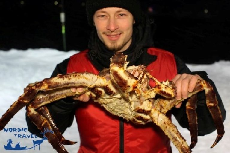 Наші екскурсії в Лапландії